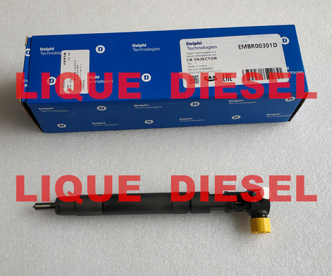 Inyector común EMBR00301D R00301D del carril de DELPHI para SSANGYONG Korando A6710170121 6710170121 proveedor