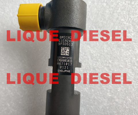 Inyector común EMBR00301D R00301D del carril de DELPHI para SSANGYONG Korando A6710170121 6710170121 proveedor